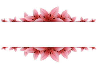 Lily Banner