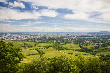 Vienna the view from moutain, Austria