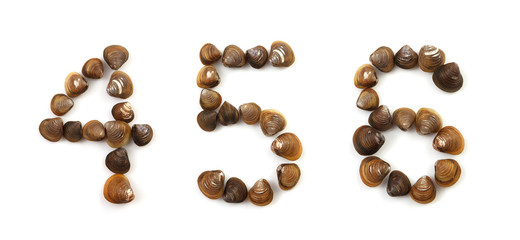 Handwritten modiola typeface on white background