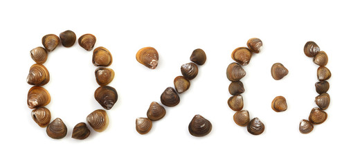 Handwritten modiola typeface on white background
