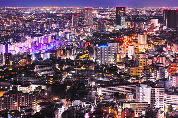 Fototapeta na wymiar 東京の目黒区の住宅街の夜景