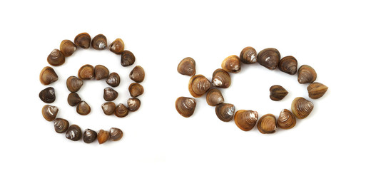Handwritten modiola typeface on white background