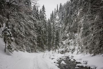 Winter trail in Koscieliska valley, Tatry Mountains, Poland