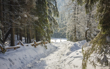 Winter trail in Koscieliska valley, Tatry Mountains, Poland