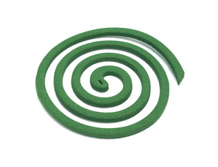 Close up mosquito colis isolated on white background