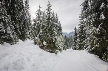Winter road with snow in Chocholowska valley - Tatra Mountains