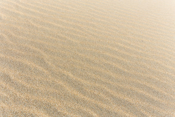 Sand texture