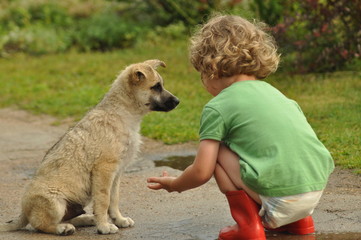 Boy, child in red rubber Wellingtons, talking with the puppy.
