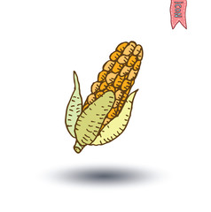 corn, Food icons set, vector illustration.