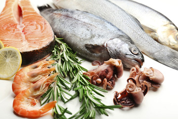 Fresh catch of fish and other seafood close-up