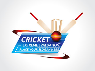 abstract crciket background with bat