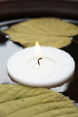 White candle floating with leaves on water in bowl