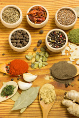 Obraz na płótnie Canvas powder spices