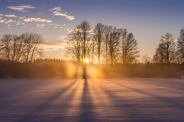Winter Sunset