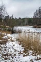 Spring March landscape at wood lake