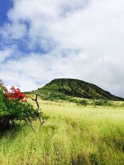 Kokohead crater, Oahu, Hawaii