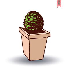 vase of cactus, Vector illustration.