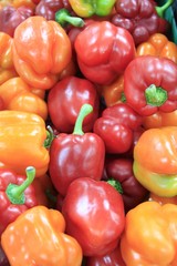 Colorful Habanero Peppers