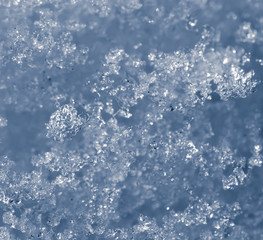 snowflakes as background. close-up