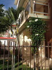 maison ile maurice
