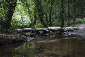 a stone bridge in the woods