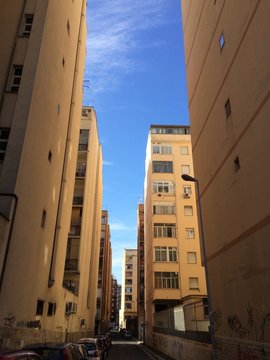 roma
