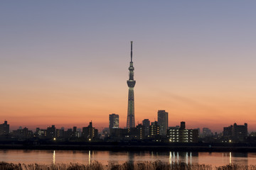 夕景の東京スカイツリー　ライトアップと日没後の美しい空