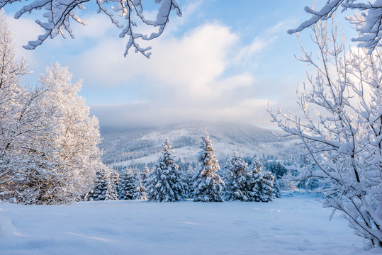 Obraz Piękna zima w Beskidach