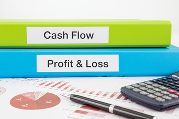 Cash Flow, Profit & Loss documents with reports