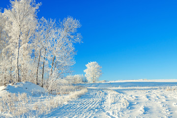 Fototapeta na wymiar rural winter landscape a with the blue sky, a field and the fore