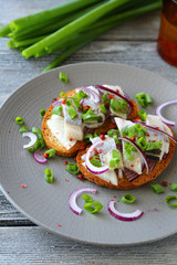 delicious canapes with fish on a plate