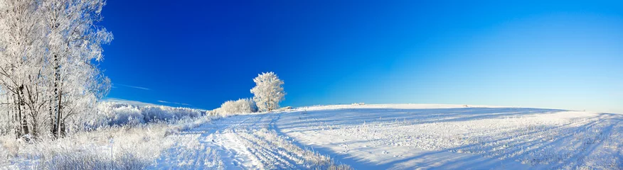 Foto op Plexiglas landelijk winterlandschap een panorama met de blauwe lucht, een veld en © yanikap