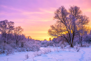 winter landscape with sunset and the  forest