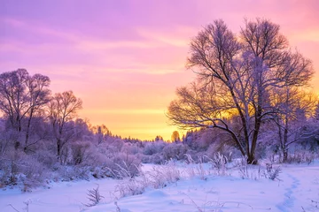 Photo sur Plexiglas Hiver winter landscape with sunset and the  forest