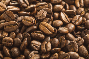 コーヒー　Coffee beans