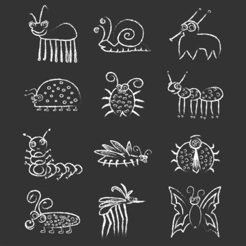 Bugs And Insects Icon Collection Set On Blackboard