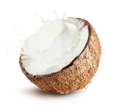 Coconuts with milk splash on white background