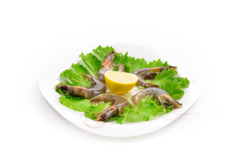 delicious fresh shrimps