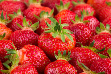 Fresh strawberries