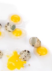 Broken quail eggs