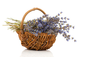 dry lavender flower in a basket, isolated on white background