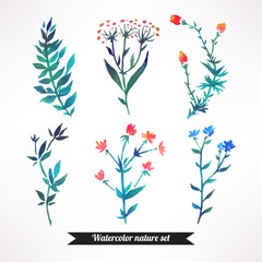 Set of watercolor flowers