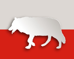 Wolf