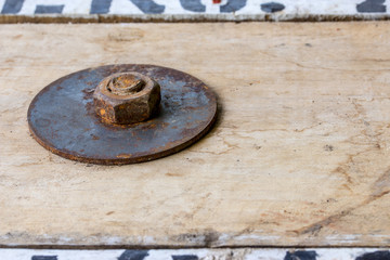 nut on wood