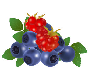 Blueberries and raspberries