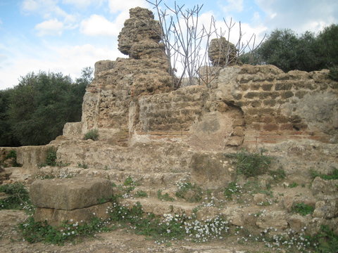 Ruine Cherchell Ruin