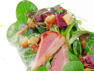 smoked duck with salad