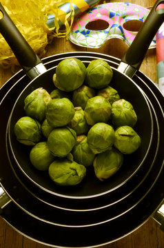 Brassica oleracea gemmifera Brussels sprout Expo Milano 2015