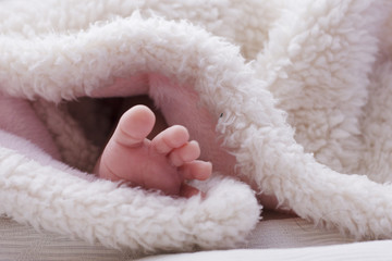 petit pied