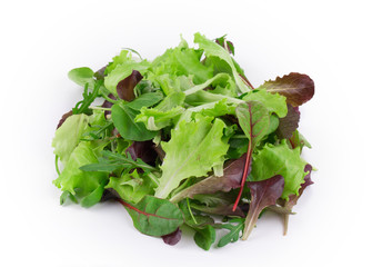 Green and red leaf of lettuce - 75540600